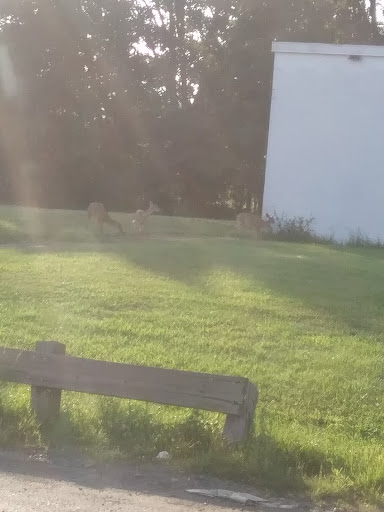 Commercial Printer «Quad Graphics Direct Marketing», reviews and photos, 4371 County Line Rd, Chalfont, PA 18914, USA