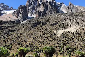 Mount Kenya National Park image
