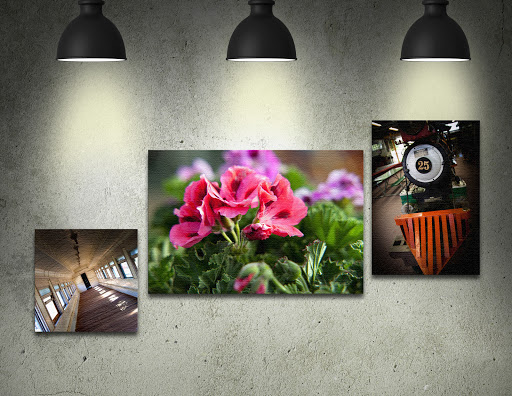 Print Shop «Hainesville Print Copy and Mail Center», reviews and photos, 260 East Belvidere Road, Hainesville, IL 60030, USA