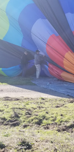 Wine Country Balloons image