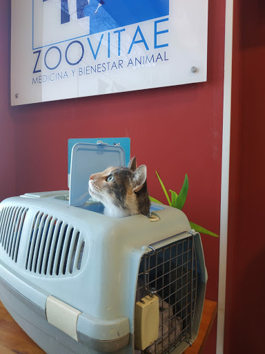 Zoovitae - Centro Veterinario En Toledo en Toledo