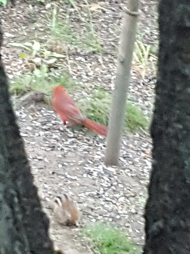 RV Park «Hidden Valley RV & Golf Park», reviews and photos, 81 Damren Rd, Derry, NH 03038, USA