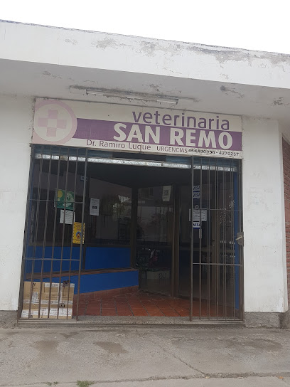 Veterinaria San Remo