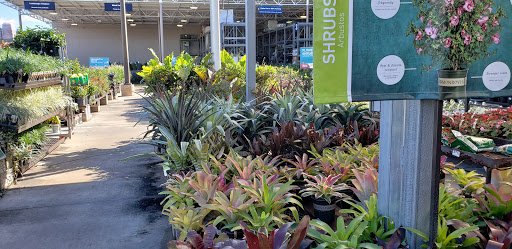 Lowe's Garden Center