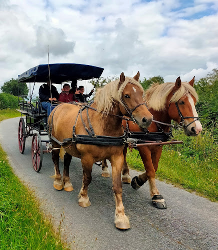 Les Attelages du Gros Bois - Vacances en Roulotte avec cheval à Saint-Priest-la-Marche