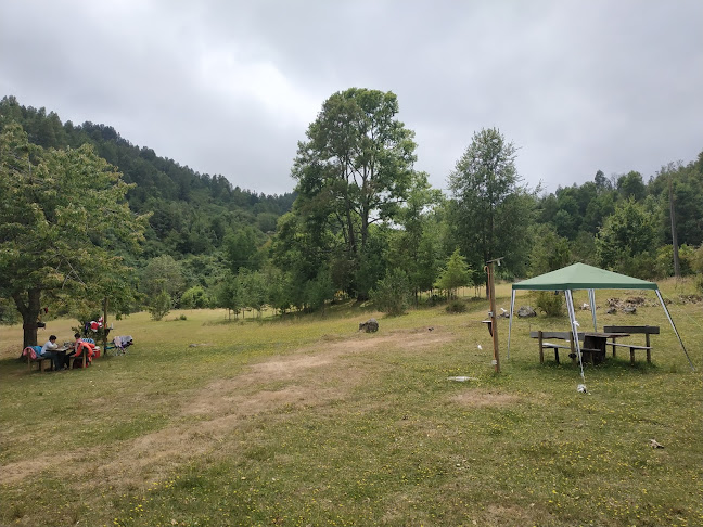 Opiniones de La Ruca De Doña Teo en Panguipulli - Camping