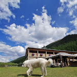 Photo n°1 de l'avis de Susanna.a fait le 25/01/2022 à 08:28 sur le  La Tresenda Agriturismo Mountain Farm à Livigno