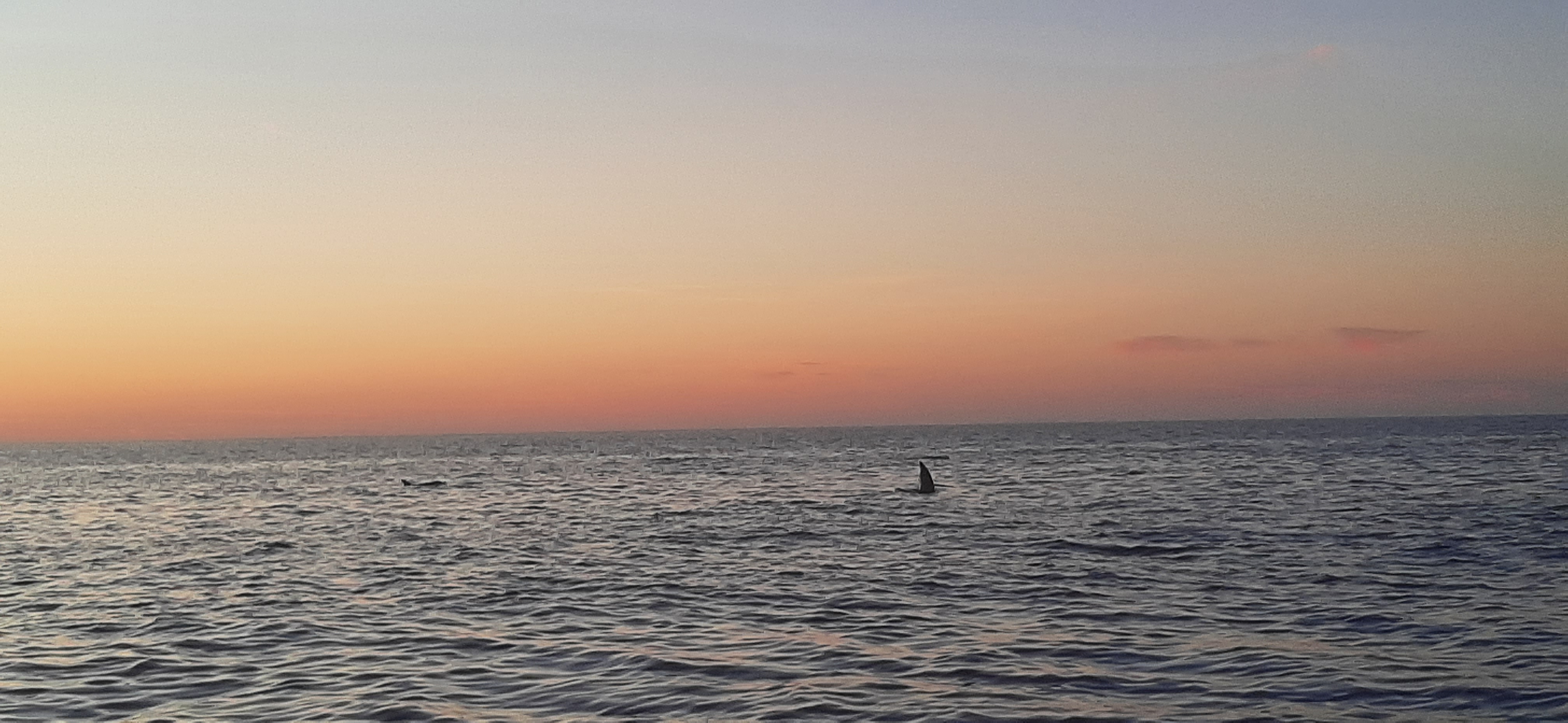 Photo n° 5 de l'avis de benedicte.l fait le 13/09/2022 à 16:52