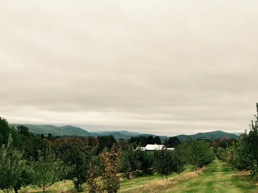 Winery «Furnace Brook Winery», reviews and photos, 508 Canaan Rd, Richmond, MA 01254, USA