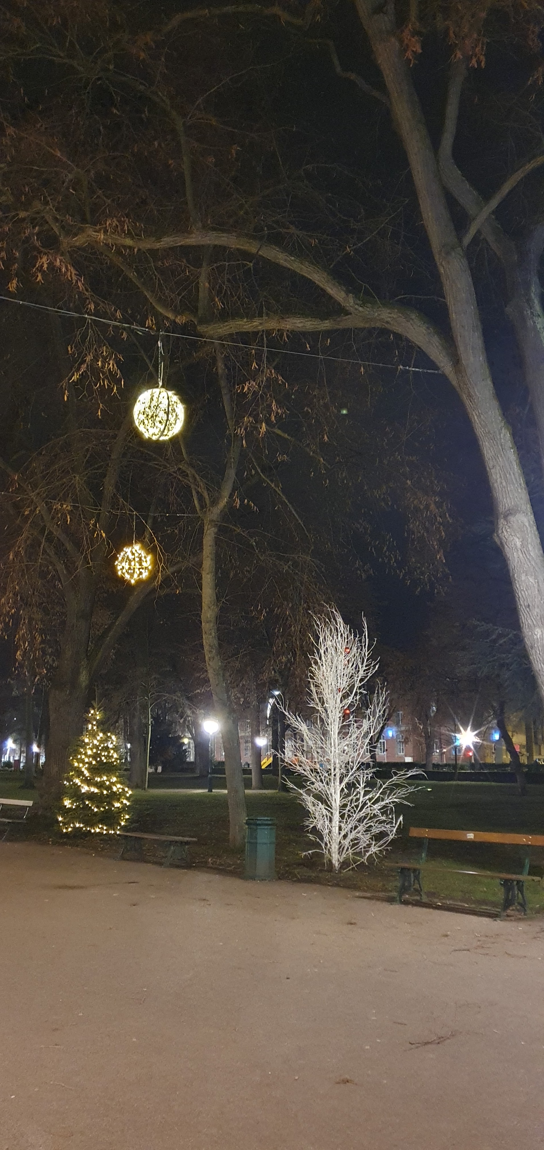 Photo n° 2 de l'avis de Sabine.. fait le 19/12/2023 à 20:15