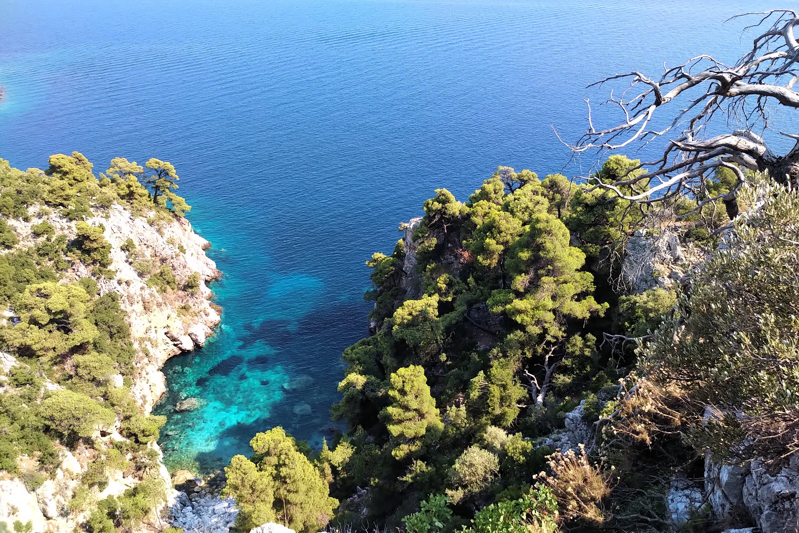 Photo de Drakontoschisma beach avec un niveau de propreté de très propre