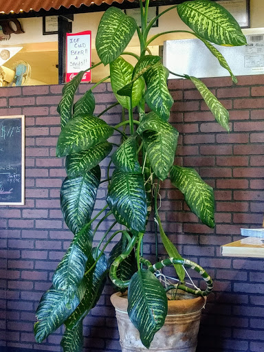 Coffee Shop «Morning Star Cafe», reviews and photos, 10428 AZ-92 # B, Hereford, AZ 85615, USA