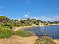 Plages de Sainte-Maxime'in fotoğrafı biraz temiz temizlik seviyesi ile