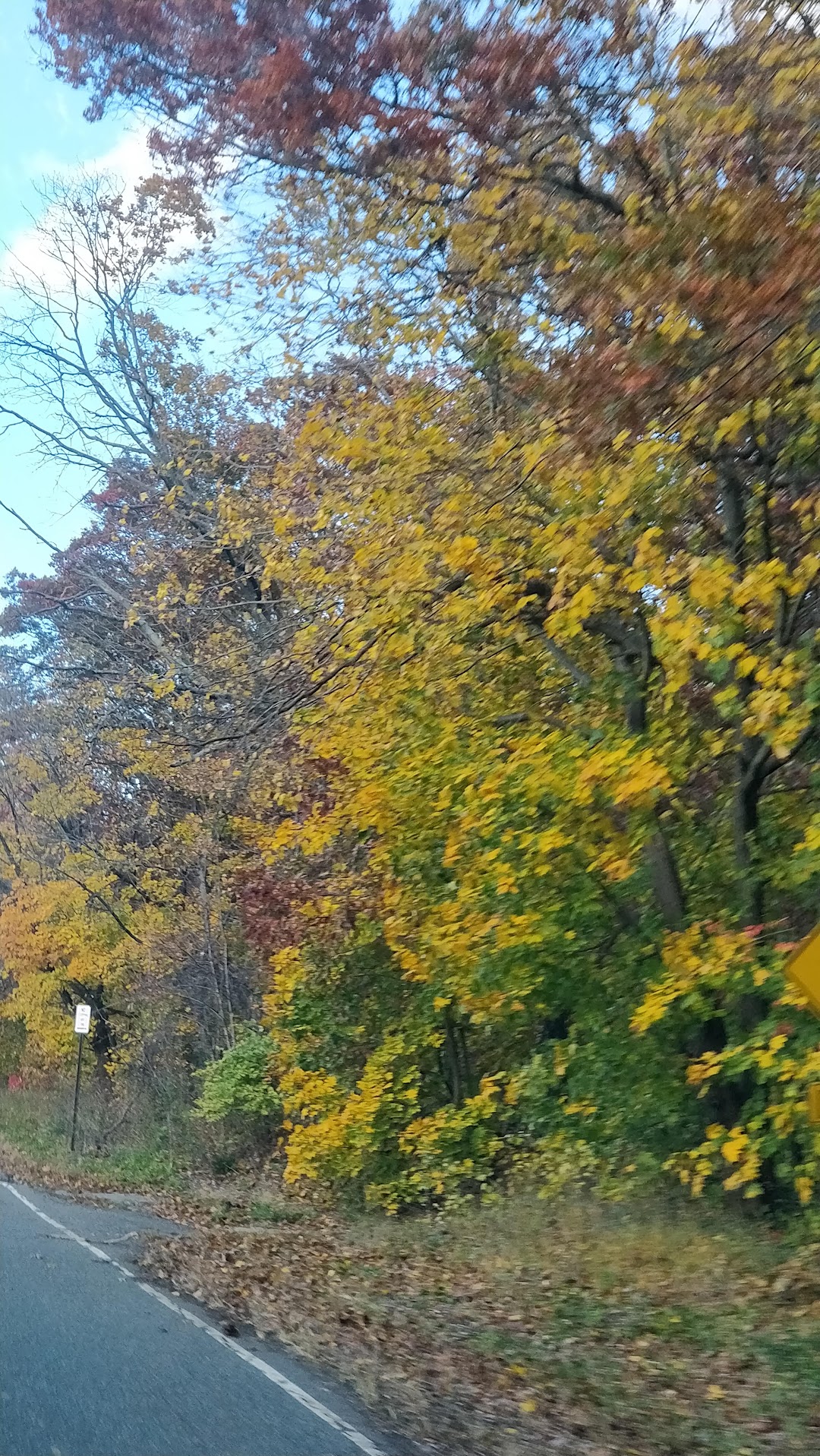 Bethpage State Park Bicycle Path