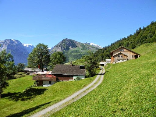 site_photo4