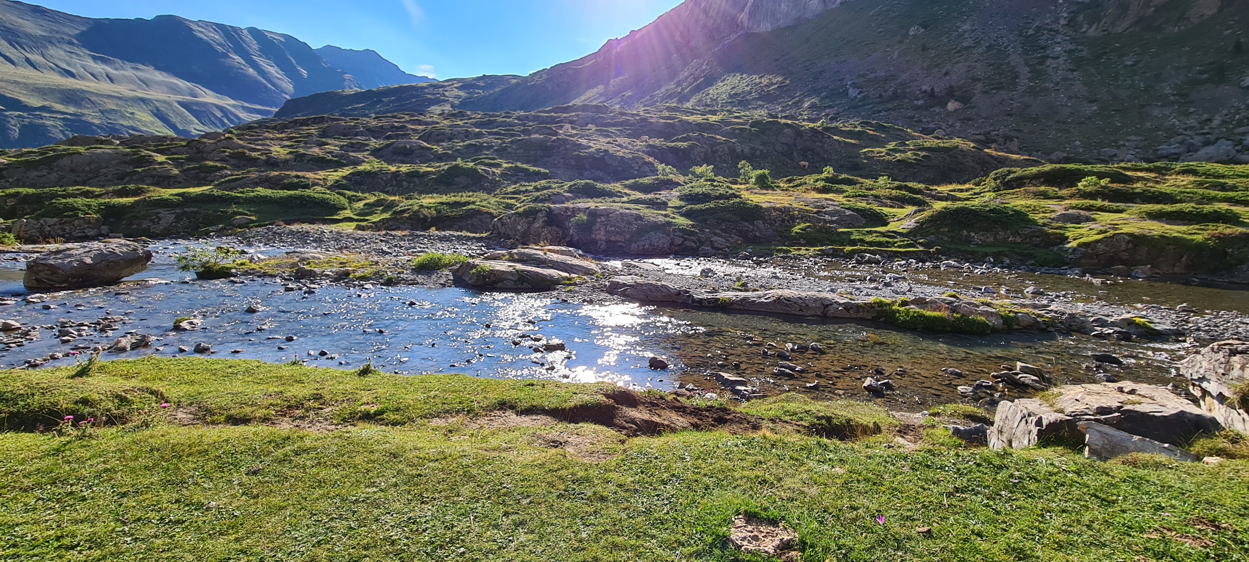 Photo n° 17 de l'avis de Thierry.a fait le 31/07/2022 à 14:26