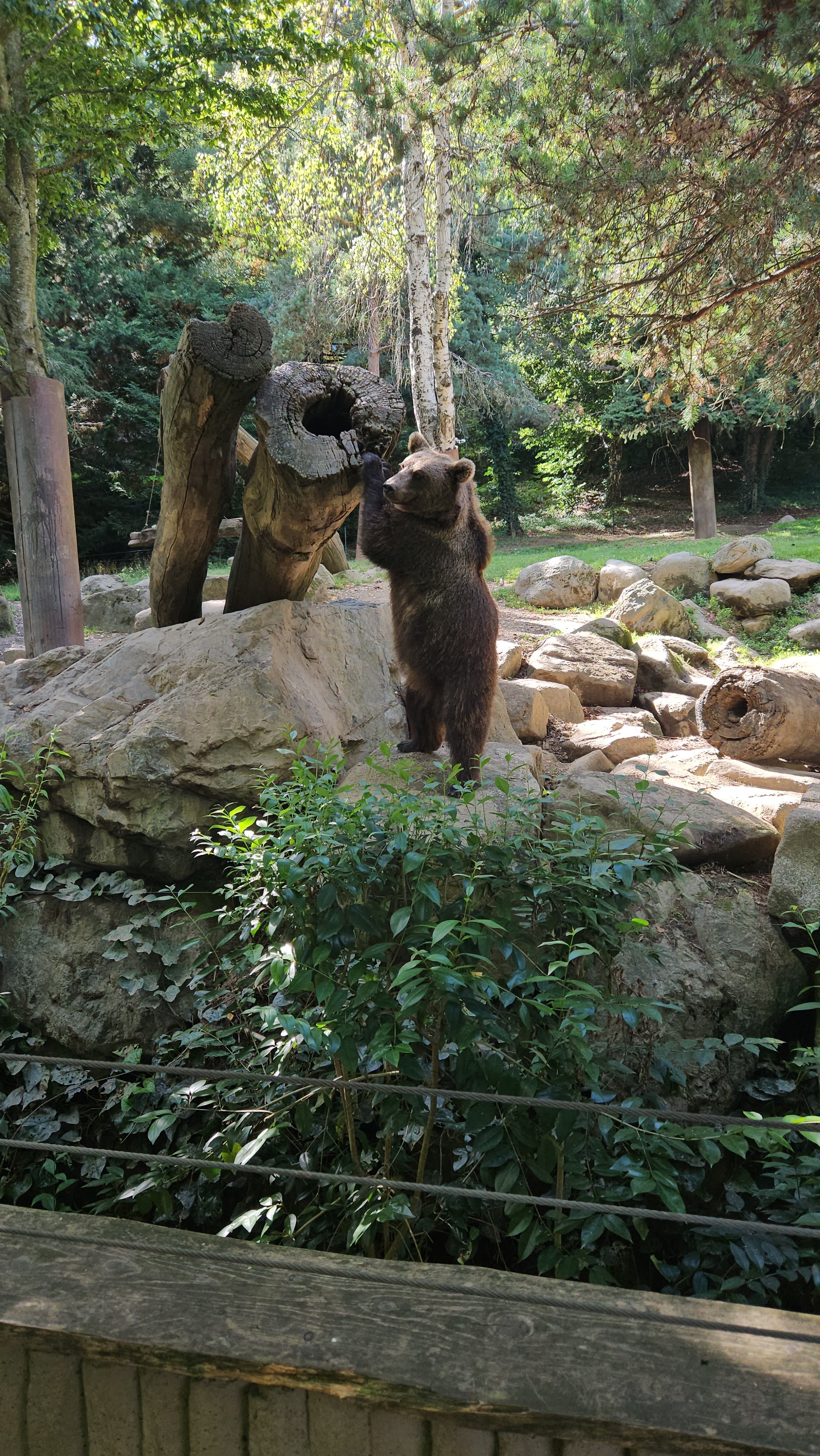 Photo n° 5 de l'avis de Christian.o fait le 01/08/2023 à 19:28