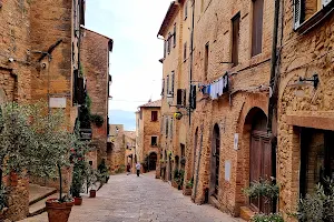 Volterra image