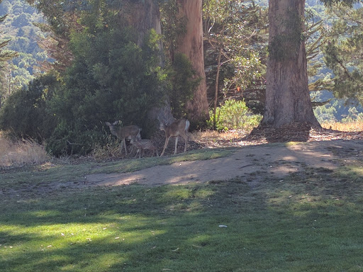 Golf Course «Crystal Springs Golf Course», reviews and photos, 6650 Golf Course Dr, Burlingame, CA 94010, USA