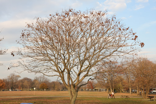 Park «Glen Island Park», reviews and photos, Weyman Ave, New Rochelle, NY 10805, USA