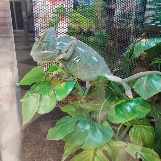 Pet Supply Store «Petco Animal Supplies», reviews and photos, 2000 NE Burnside Rd, Gresham, OR 97030, USA