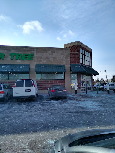 Dollar Store «Dollar Tree», reviews and photos, 1732 Dix Hwy, Lincoln Park, MI 48146, USA