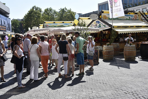 TransLanG CityTours - Stadtführungen Stuttgart