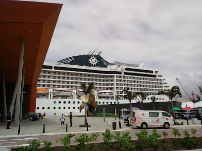 Cruise terminal