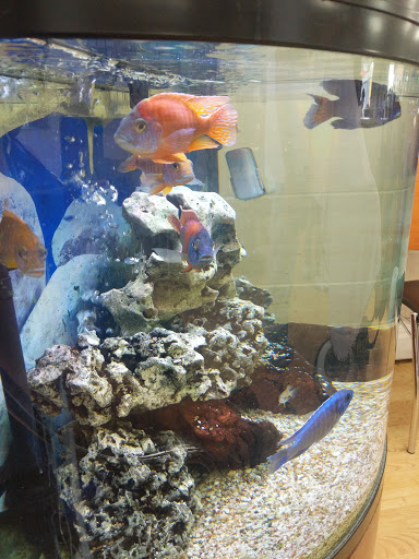 59-22 Kissena Blvd, Flushing, NY 11355, USA