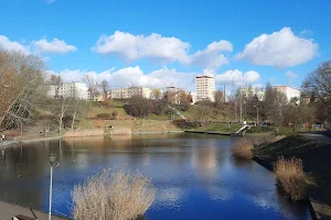 Brodowsky Pond image