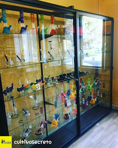 Opinii despre CULTIVO SECRETO în Puente Alto - Centro de jardinería