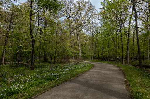 Nature Preserve «Sauk Trail Woods», reviews and photos, 3028 Forest Preserve Dr, Chicago Heights, IL 60411, USA