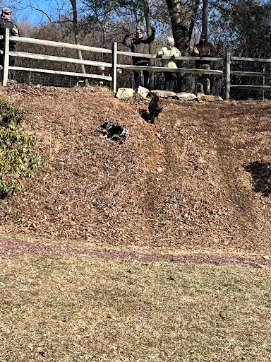 Dog Trainer «Awesome Dawgs Dog Training LLC», reviews and photos, 3052 Pricetown Rd, Temple, PA 19560, USA