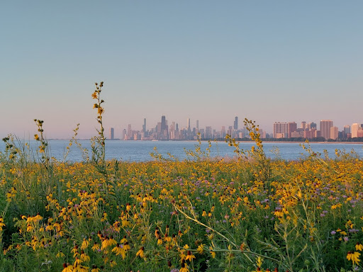 Montrose Point Bird Sanctuary, Chicago, IL 60640