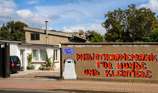 Animal Physiotherapy Anja Kowolik unter Magdeburg, 