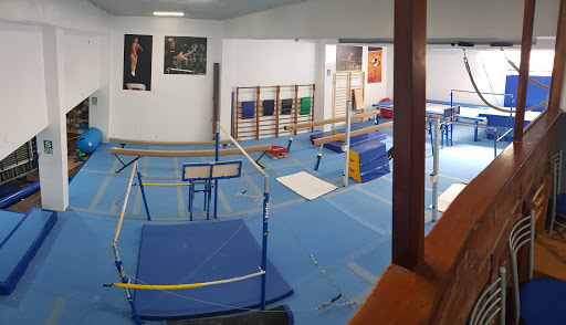 Club Colonia - Gimnasia artística