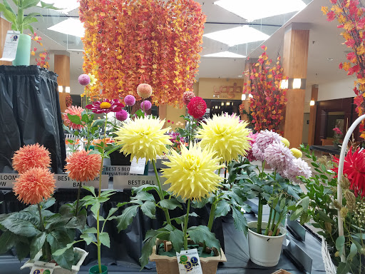 Shopping Mall «Orchard Mall Shopping Center», reviews and photos, 6337 Orchard Lake Rd, West Bloomfield Township, MI 48322, USA