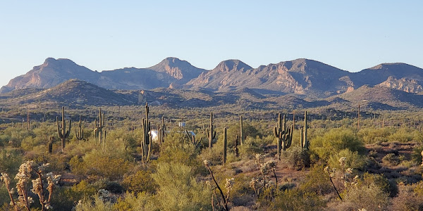 Lost Dutchman State Park