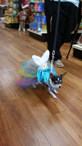 Pet Supply Store «Pet Supermarket», reviews and photos, 2924 13th St, St Cloud, FL 34769, USA