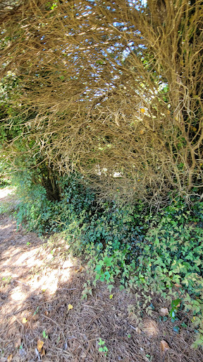 History Museum «Gone With the Wind Museum», reviews and photos, 18 Whitlock Ave NW, Marietta, GA 30064, USA