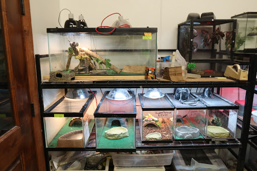 Animal Feed Store «Russell Feed & Supply», reviews and photos, 1312 NW Pkwy St, Azle, TX 76020, USA