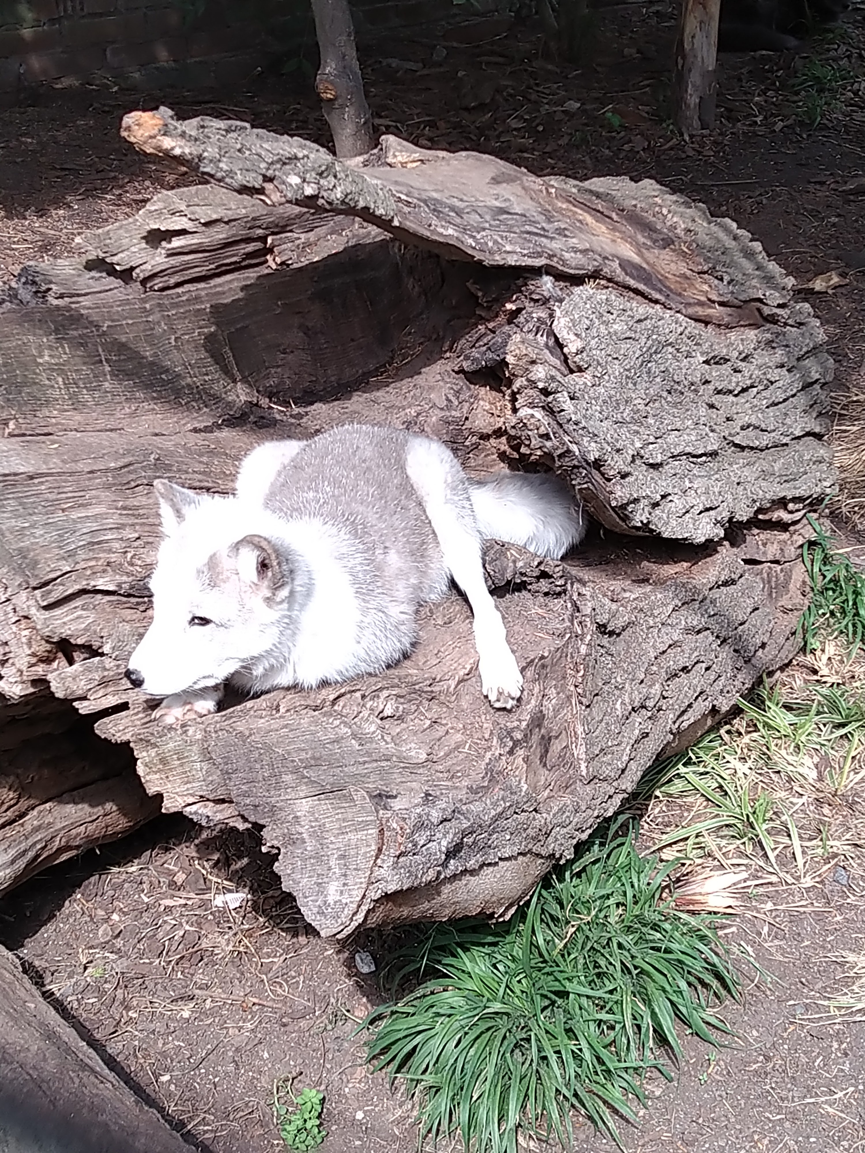 Photo n° 1 de l'avis de HardLoSeDa. fait le 15/08/2019 à 14:36