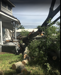 We's is Trees - Photo 4 - Car repair in Gastonia, NC, Gastonia