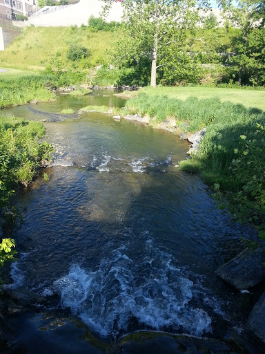 Golf Club «Blue Ridge Shadows Golf Club», reviews and photos, 456 Shadows Dr, Front Royal, VA 22630, USA