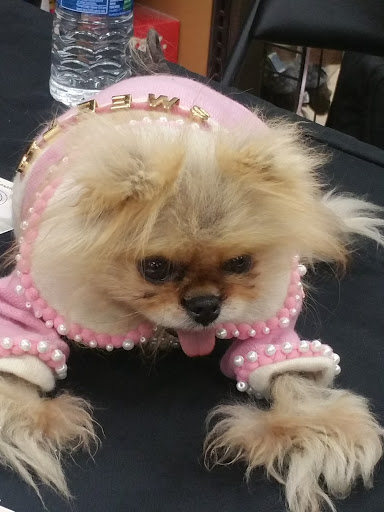 Pet Supply Store «Petco Animal Supplies», reviews and photos, 508 N Doheny Dr, West Hollywood, CA 90048, USA