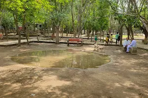 Pakoda Park image