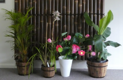 Lotus Flower Vietnamese Massage