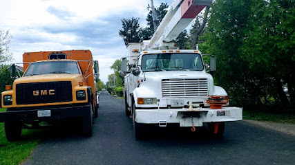 All Seasons Tree Service