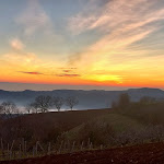 Photo n°1 de l'avis de antonellaot8. fait le 12/01/2020 à 08:51 sur le  Al Ciclamino à Roncà