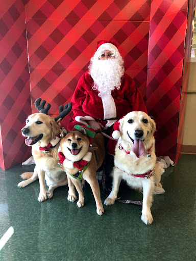 Pet Supply Store «Petco Animal Supplies», reviews and photos, 30697 US Hwy 19 N, Palm Harbor, FL 34684, USA